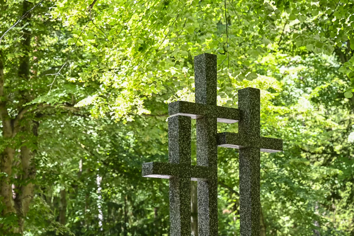Organizacja ruchu w czasie Wszystkich Świętych 