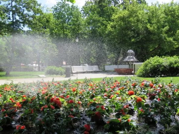 Aktualności