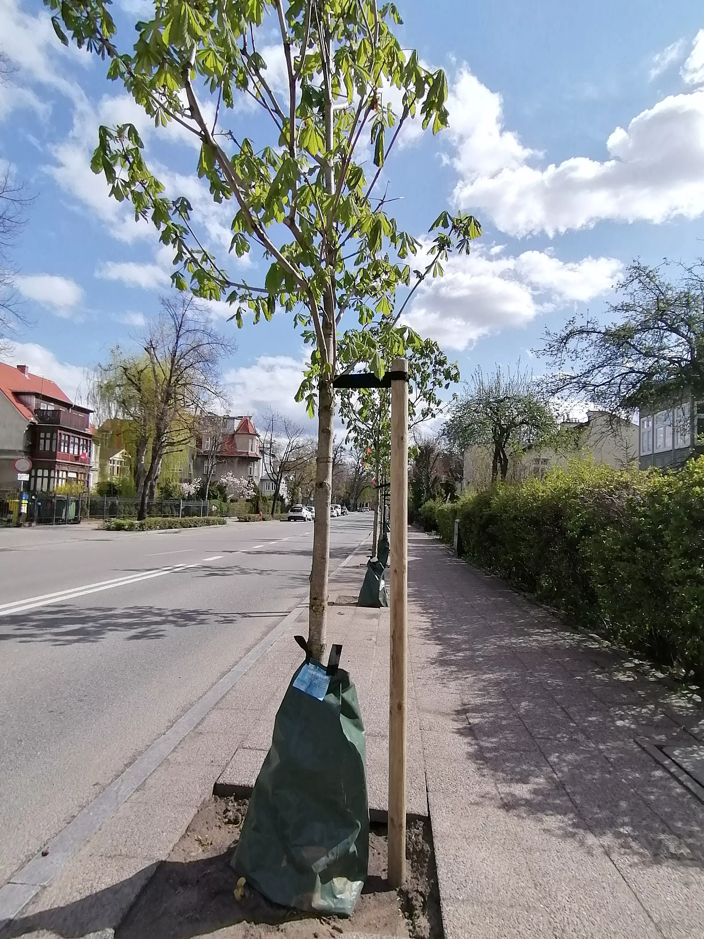 Podsumowanie roku - zieleń