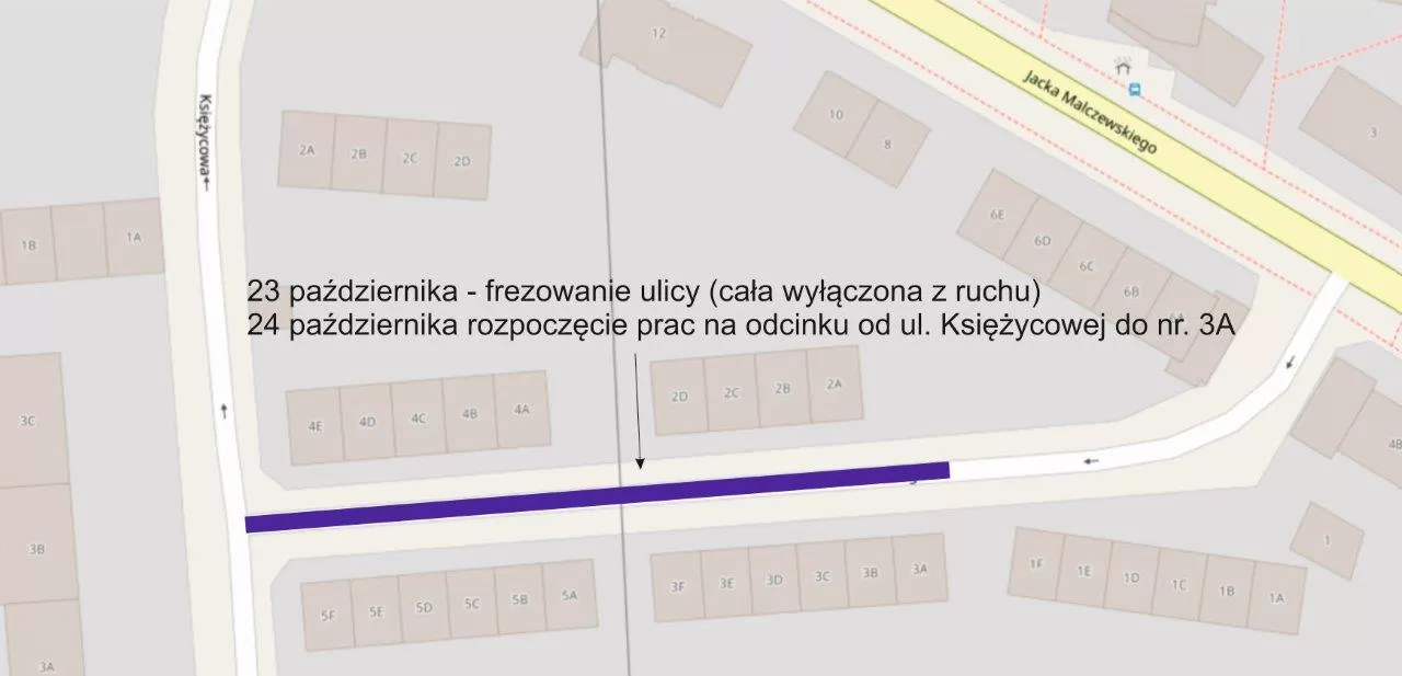 Wykonawca