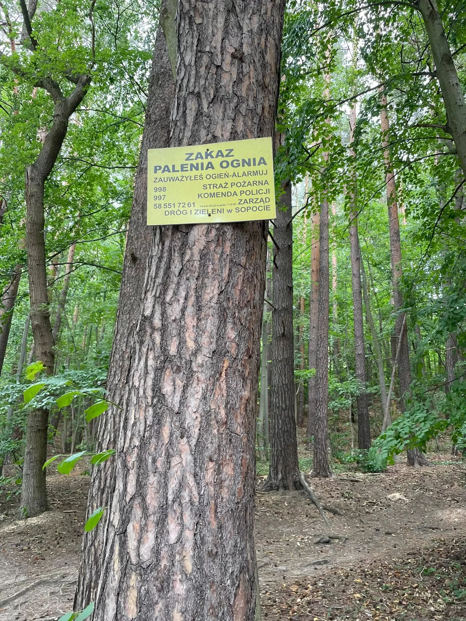 Zagrożenie pożarowe w lasach