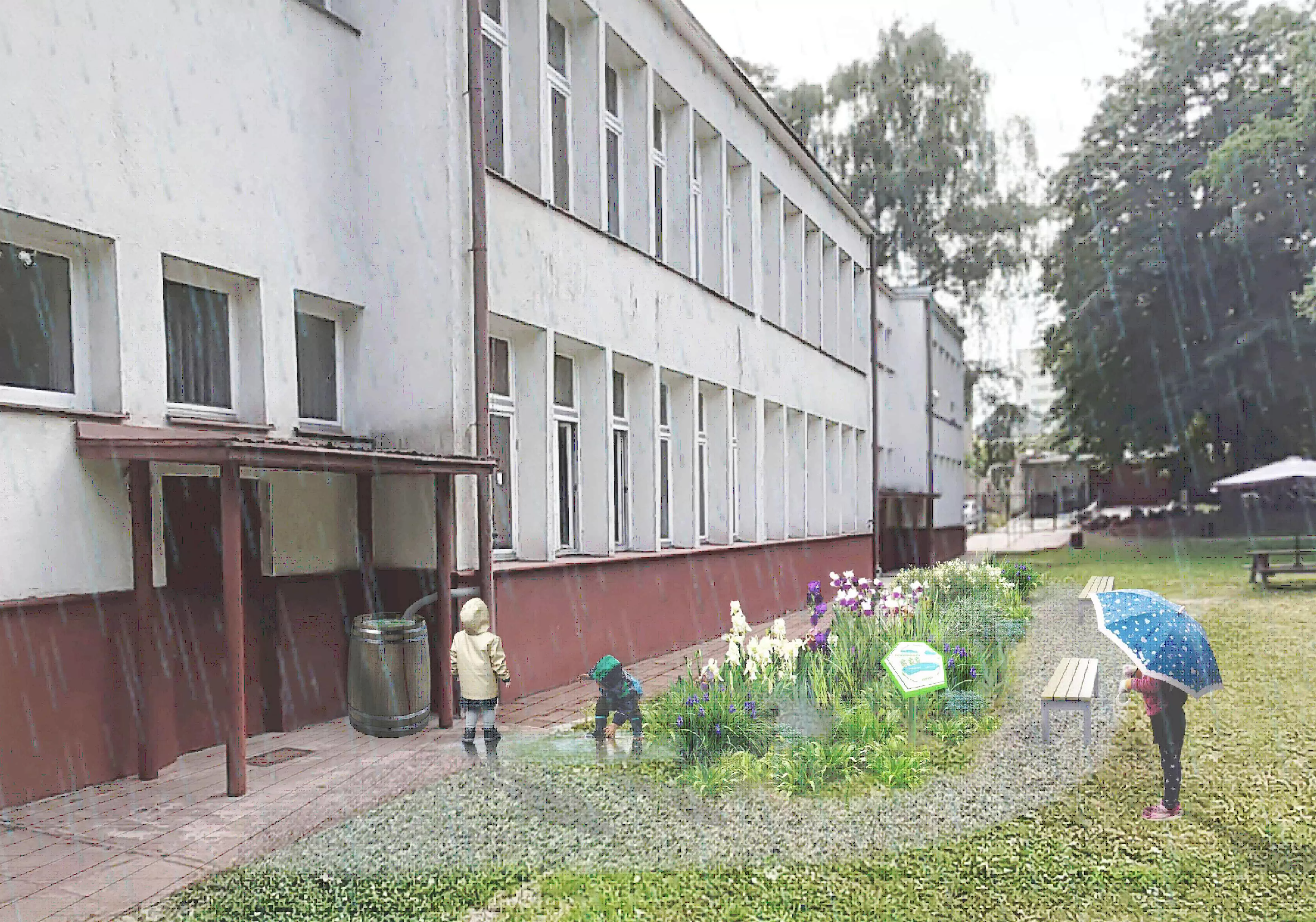 Ekologiczny Sopot. Tworzymy ogród deszczowy