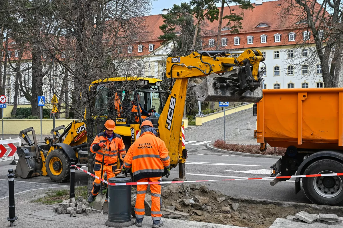 Więcej zieleni w Sopocie – nowe zieleńce przy ul. Powstańców Warszawy