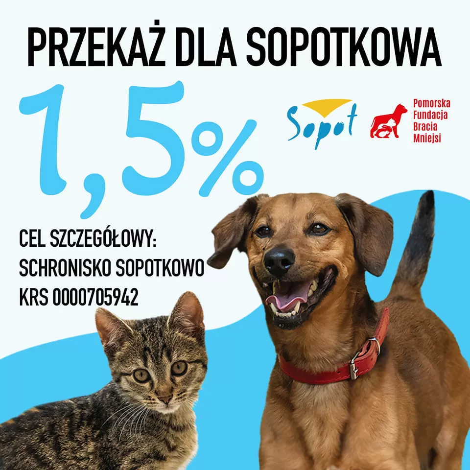 Przekaż 1,5% podatku na zwierzęta